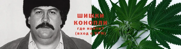 прущие крисы Абинск
