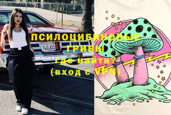 а пвп мука Абаза