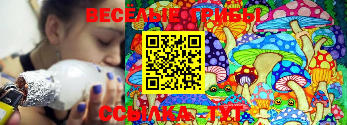 Галлюциногенные грибы MAGIC MUSHROOMS  Галлюциногенные грибы Magic Shrooms  Партизанск  купить наркоту  Вход с VPN 